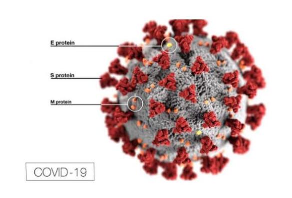 COVID-19對歐盟MDR,SCIP廢物框架指令的影響