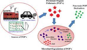 歐盟POPS認證法規(guī)下設(shè)定六氯苯限量